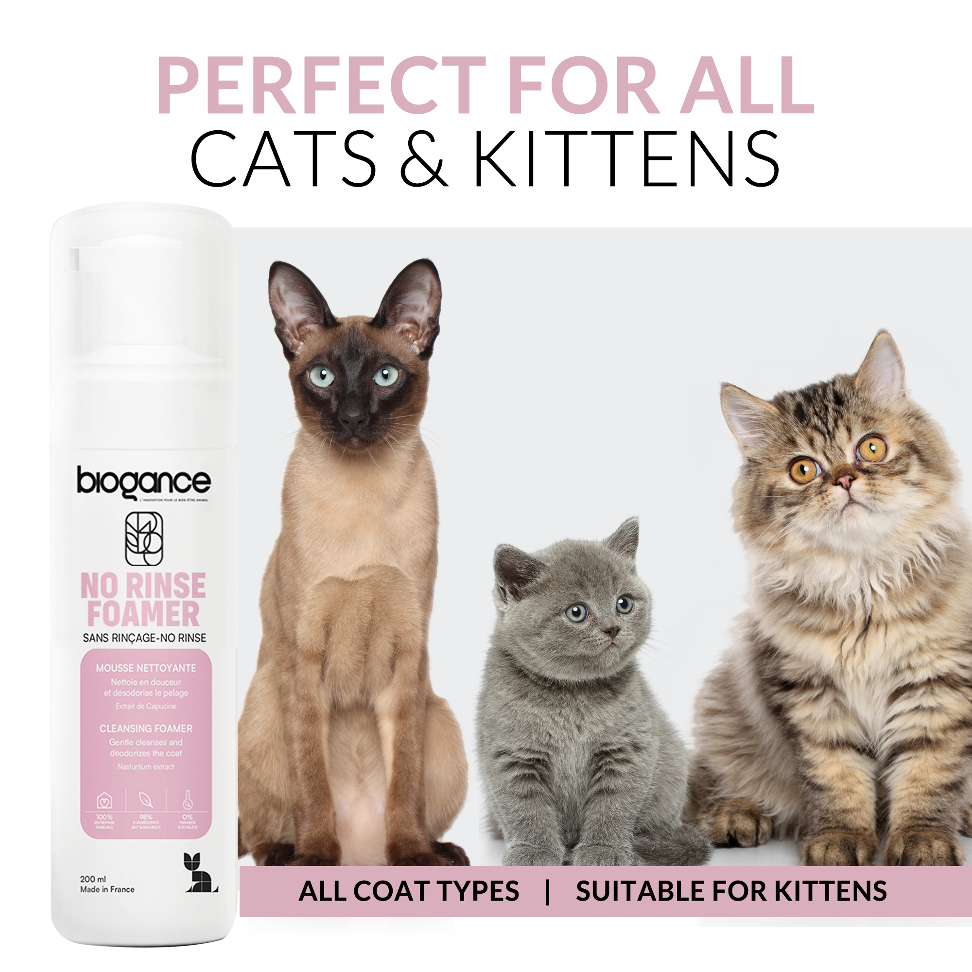 Mousse Sans Rinçage Chat