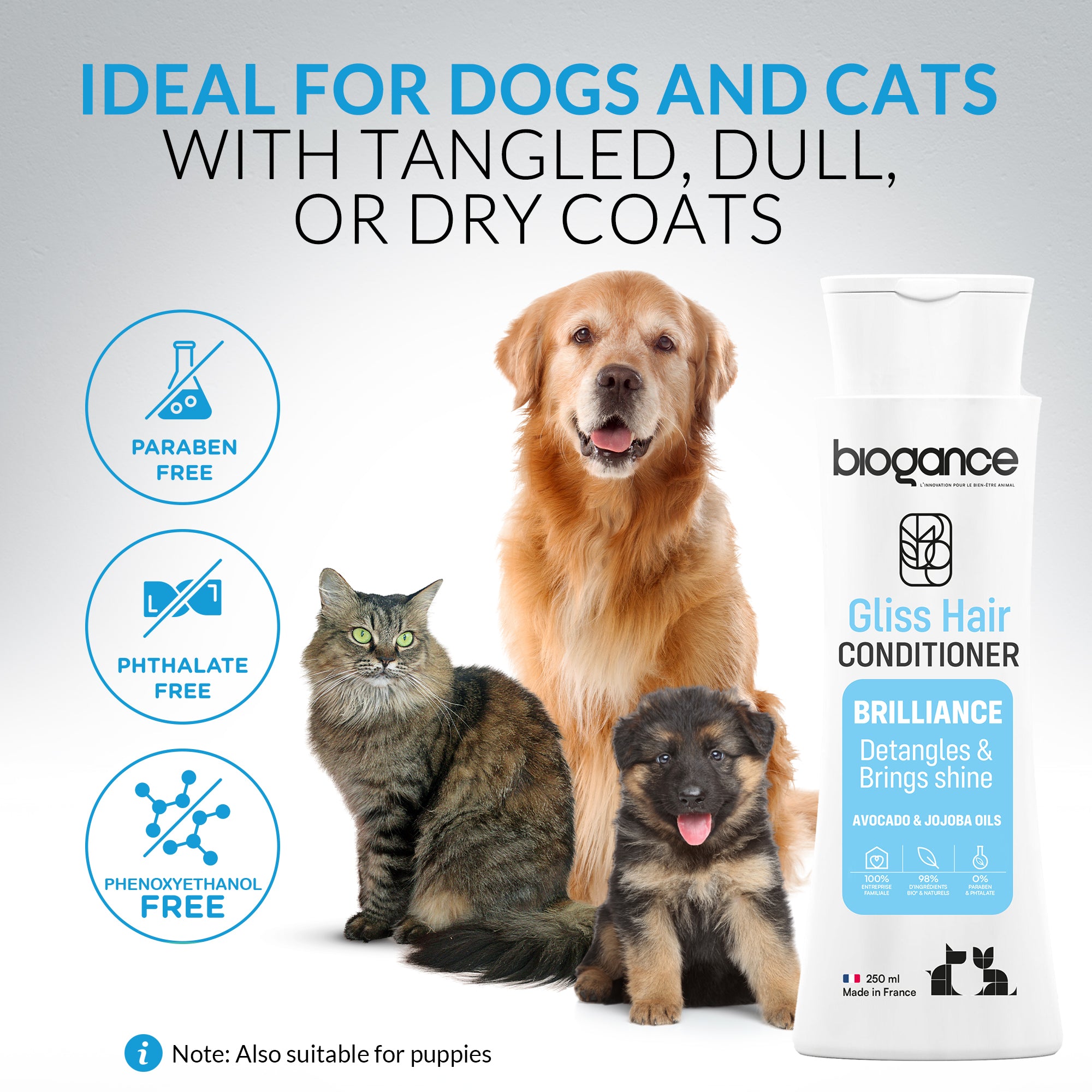 Gliss Hair Conditioner