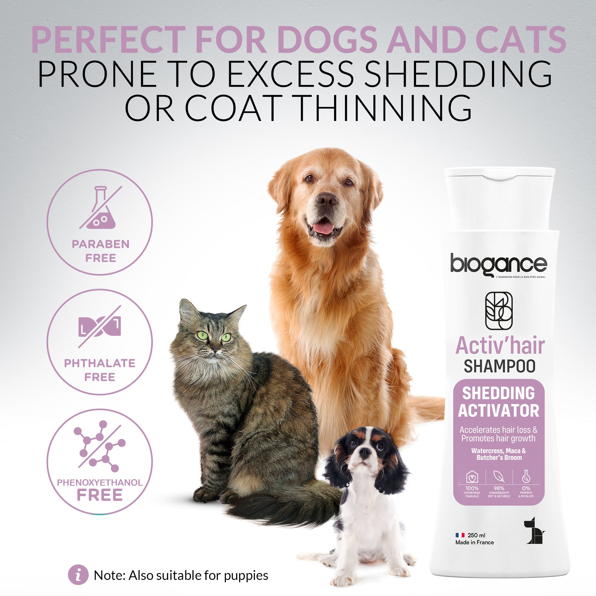 Shampooing Activateur de Mue