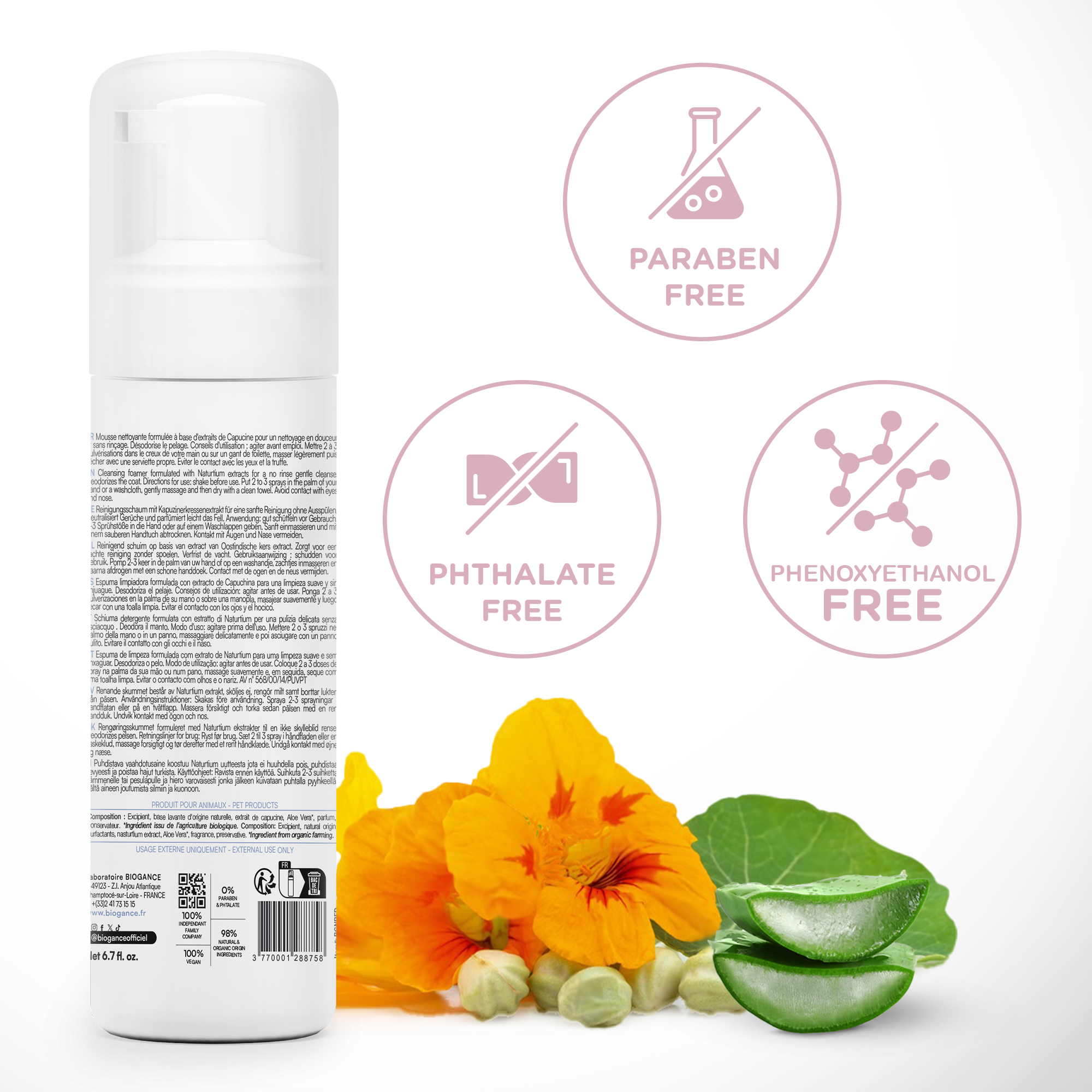 Mousse Sans Rinçage Chat