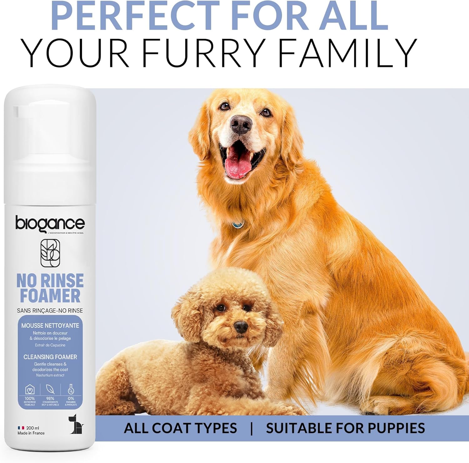 Mousse Sans Rinçage Chien